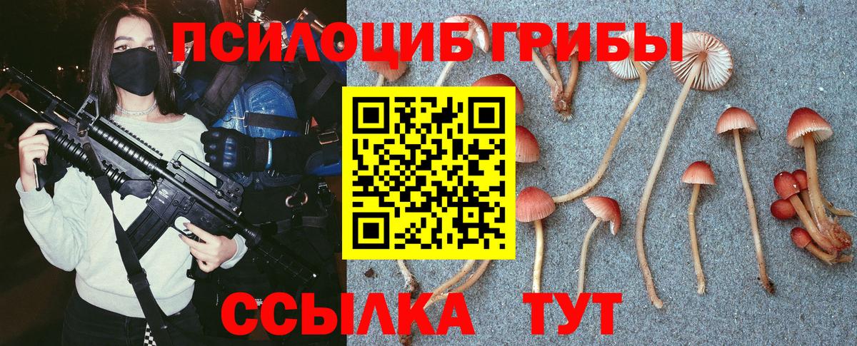 Орск  Галлюциногенные грибы прущие грибы  цены наркотик  Псилоцибиновые грибы Magic Shrooms  Вход с VPN 